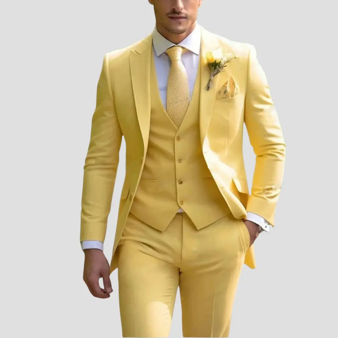 Costume 2 Pièces Coupe Ajustée Pour Homme