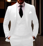 Homme Costume Trois Pièces