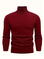 Homme Pull Roulé Côtelé