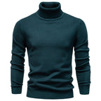 Homme Pull Col Roulé