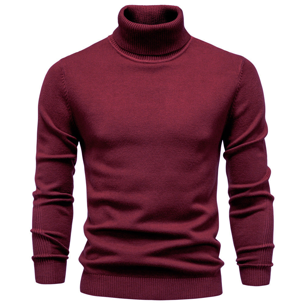 Homme Pull Col Roulé