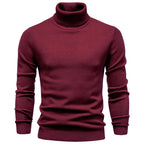 Homme Pull Col Roulé